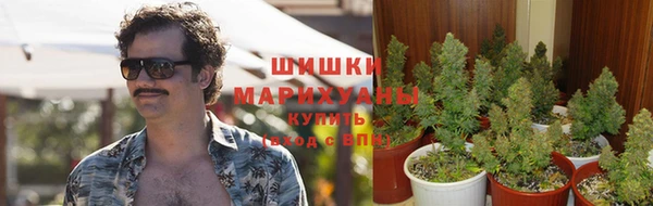 эйфоретик Богородск