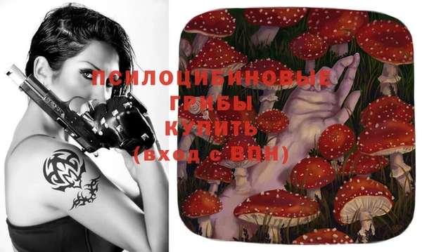 гашиш Богородицк
