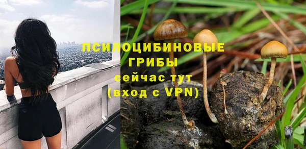 шишки Богданович