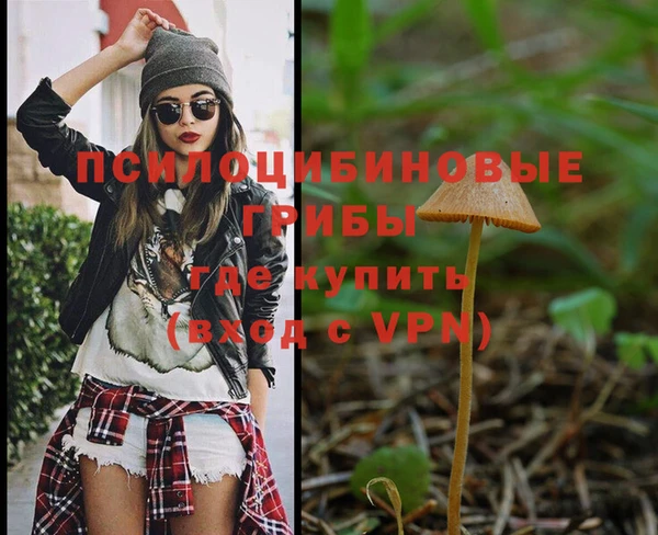 эйфоретик Богородск