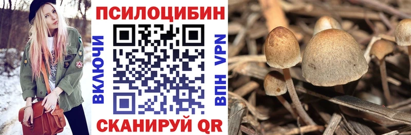 Галлюциногенные грибы Psilocybine cubensis  Тольятти 
