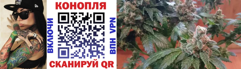 Канабис семена  где можно купить   Тольятти 
